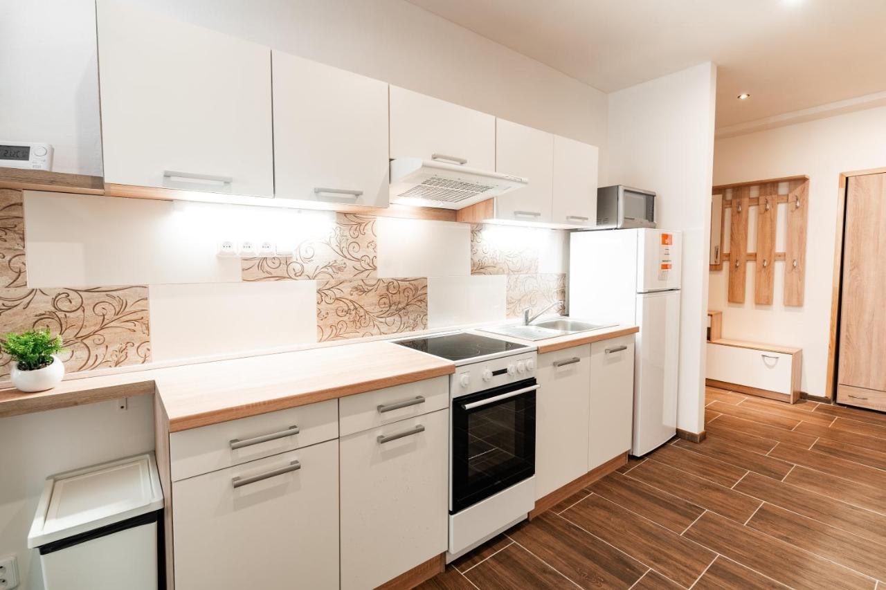 Internesto Brno Luzanky Apartment ภายนอก รูปภาพ